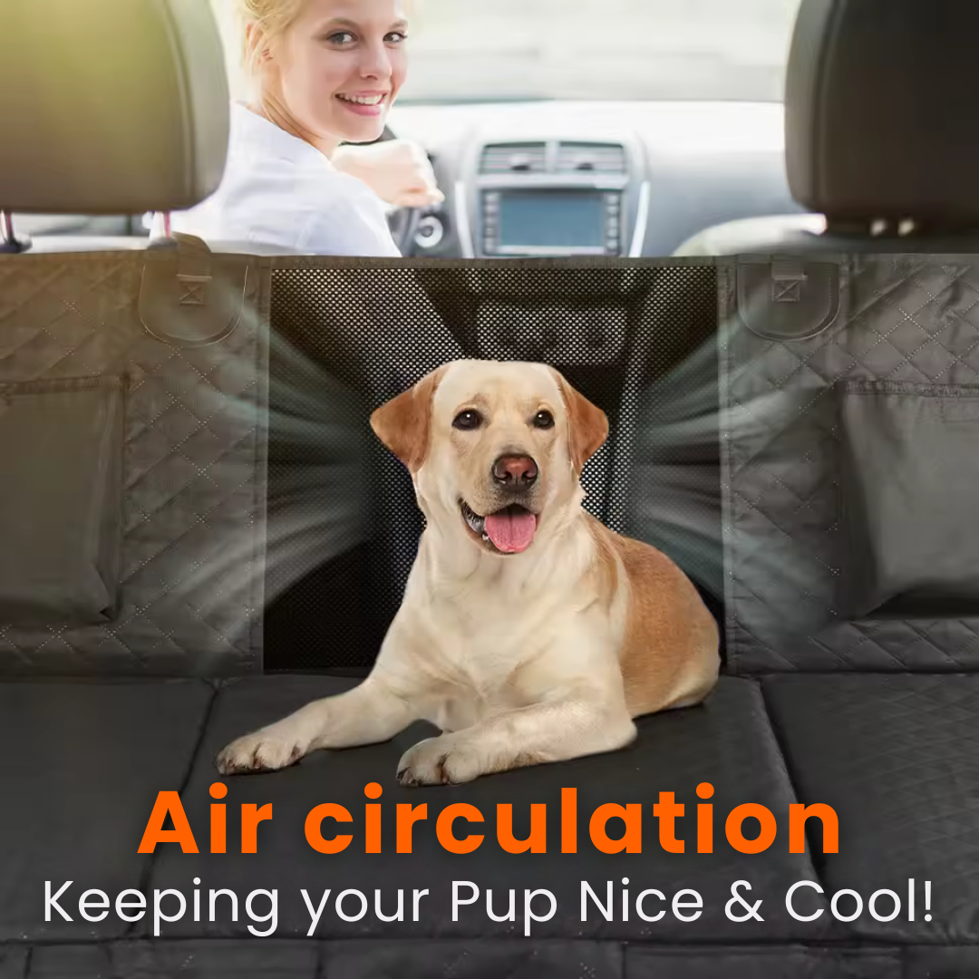 PupMat™ 2.0