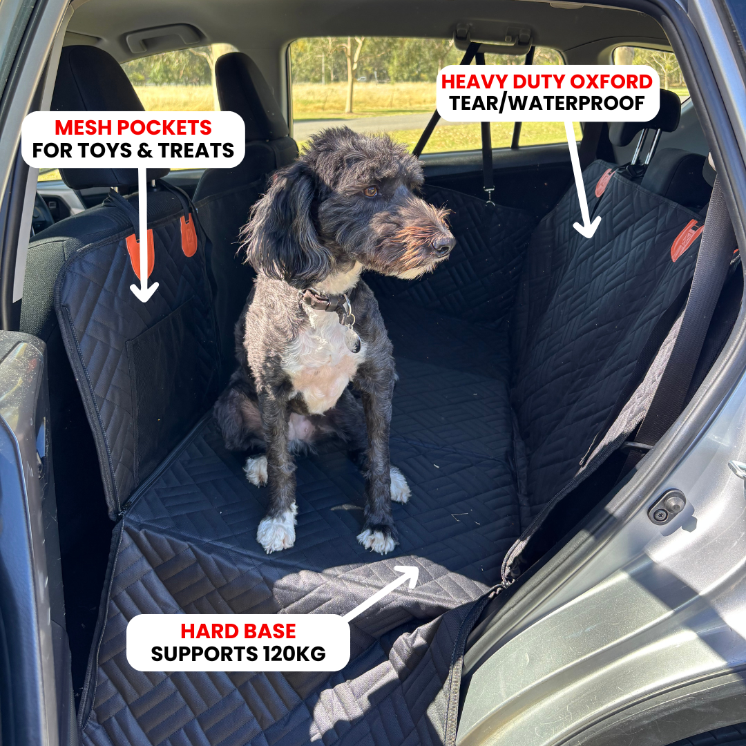 PupQuest™ - Dog Seat Cover 60% OFF + FREE Dog Buckle
