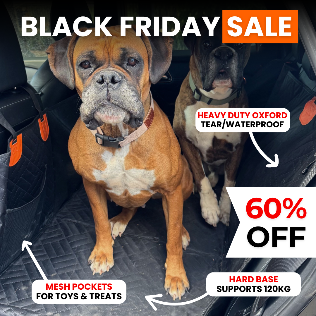 PupQuest™ - Dog Seat Cover 60% OFF + FREE Dog Buckle