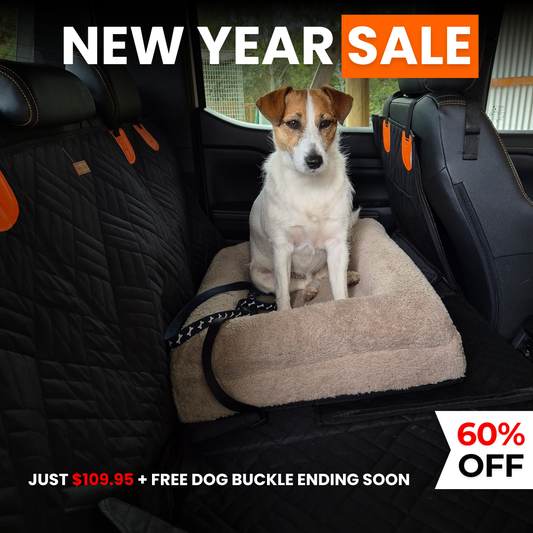 PupQuest™ - Dog Seat Cover 60% OFF + FREE Dog Buckle